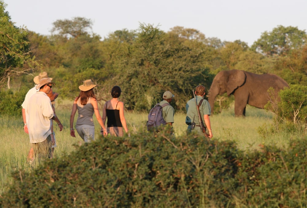 Wandersafaris und Pirschfahrten im Krüger Nationalpark